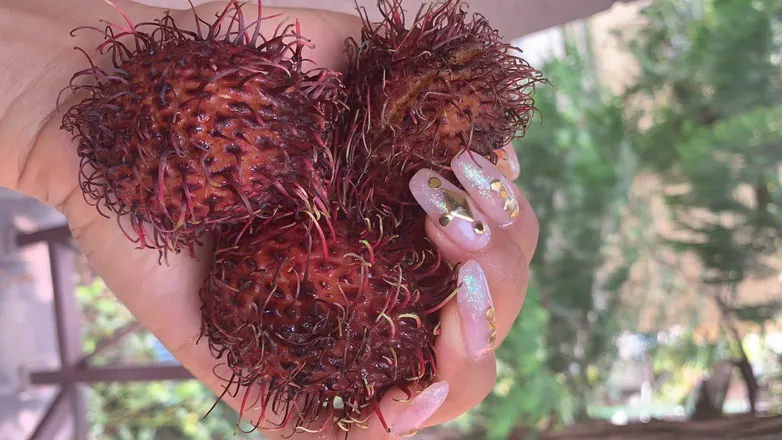 OnlyFans cuenta fruitimami header 2