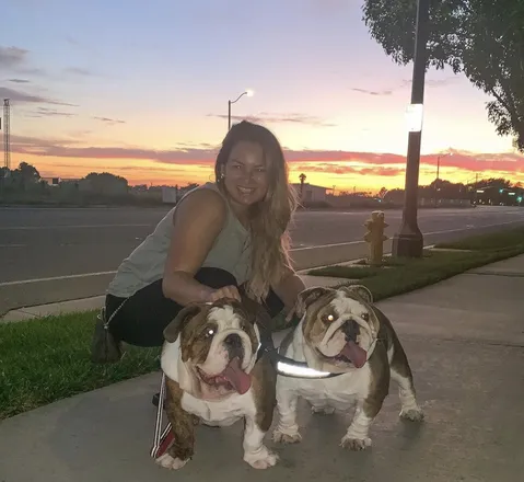 OnlyFans cuenta bulldogmom header 2