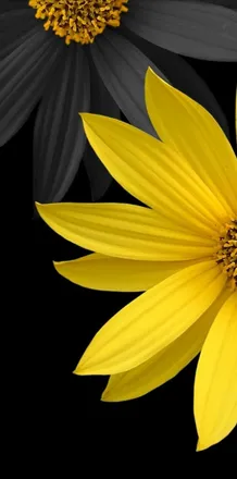 OnlyFans cuenta dragon_fly88 header 2