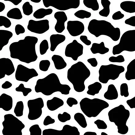 OnlyFans account  traveling_cowgirl header 2