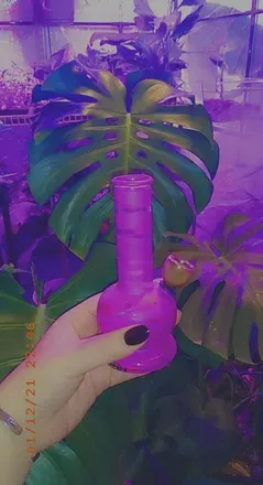 OnlyFans account  pothosqueen header 2