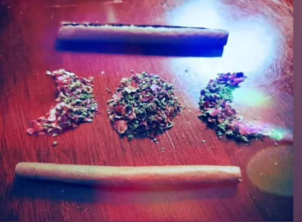 OnlyFans cuenta miss.sativa425 header 2