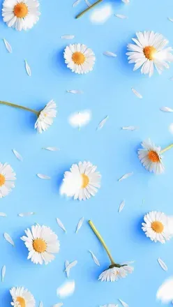 OnlyFans account  rubiwfun header 2