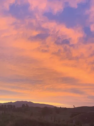 OnlyFans cuenta livywillow header 2