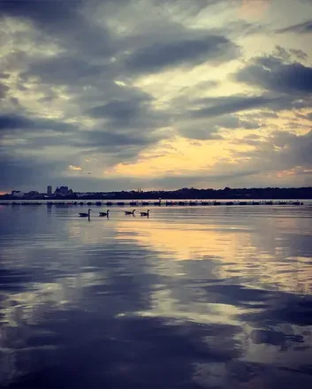 2025-08-20 photo 2