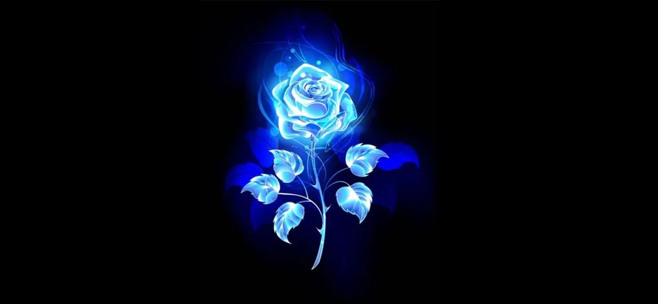 OnlyFans cuenta saphfirerose header 2