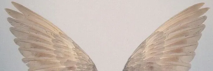 OnlyFans cuenta bbeeckkyy header 2