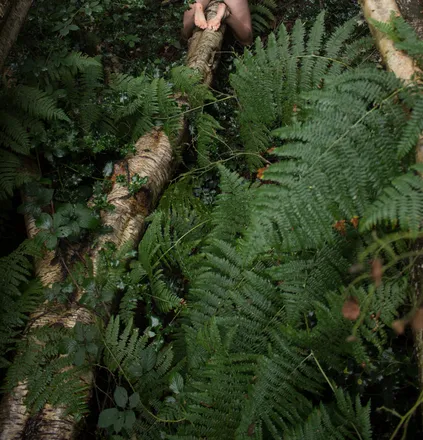OnlyFans account  oliraptor header 2