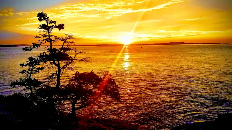 OnlyFans cuenta bhay88 header 2