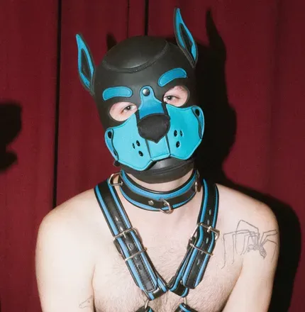 OnlyFans account  ashpocalypsee avatar 1