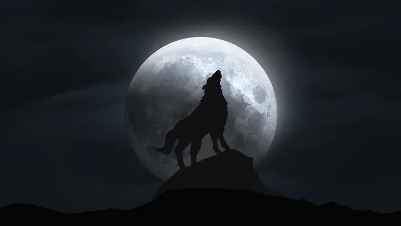OnlyFans cuenta littlemoonwolf avatar 1