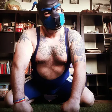 OnlyFans cuenta olaffthepup header 2