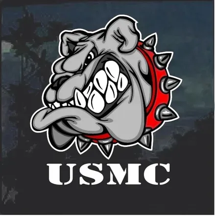 OnlyFans account  usmarinevet23 avatar 1