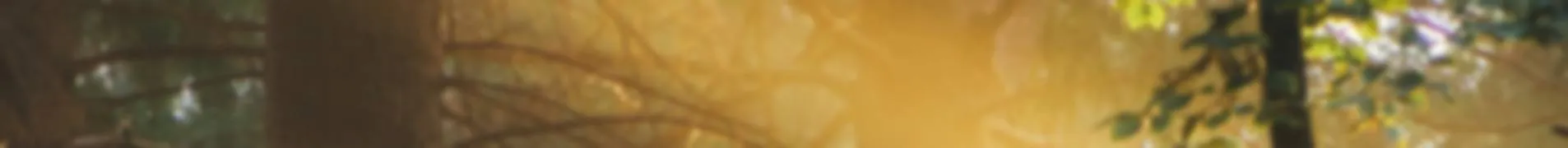 OnlyFans cuenta joesephftm header 2