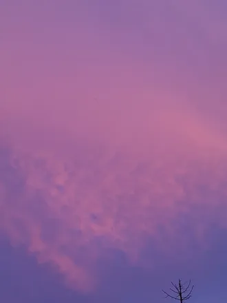 OnlyFans account  athleticfootgoddess header 1