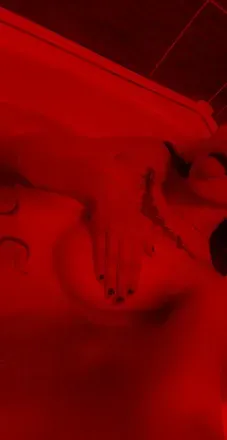 OnlyFans cuenta lilyandsaturn header 2