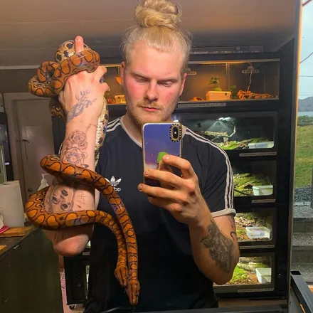 OnlyFans cuenta criminalreptile header 2