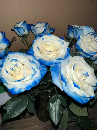OnlyFans cuenta kiki_2k header 2
