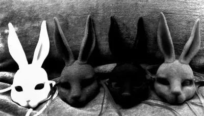 OnlyFans cuenta darklittlebunny header 2