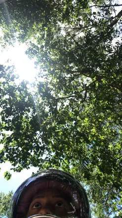 OnlyFans cuenta lostinlucysgarden header 2