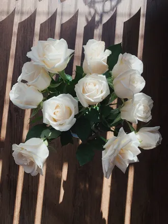 OnlyFans cuenta theprincessb header 2