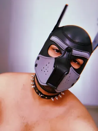 OnlyFans cuenta dogspxxx avatar 1