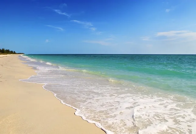 OnlyFans cuenta floridafeets header 2