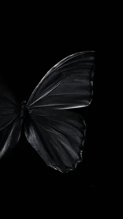 OnlyFans cuenta emeraldggreen header 2