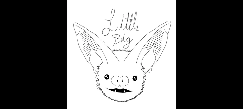 OnlyFans cuenta biglittlebat header 2