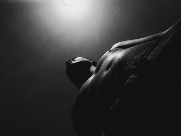 OnlyFans cuenta awardrex header 2