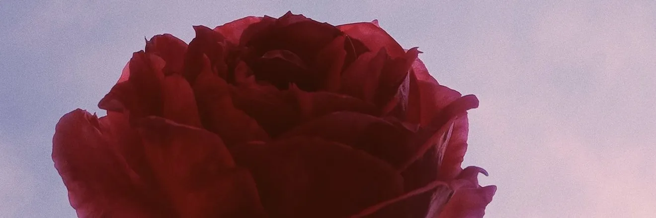 OnlyFans cuenta cntha header 2