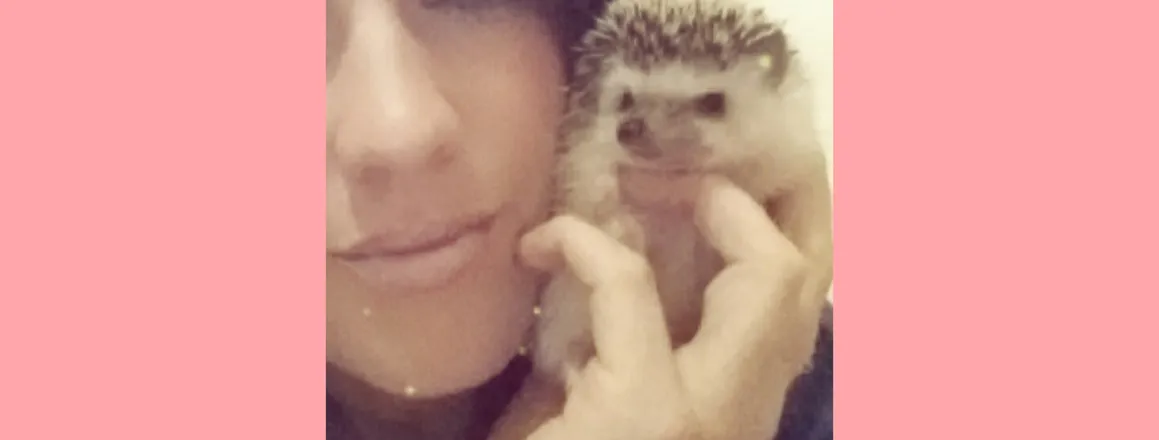 OnlyFans cuenta hedgehogbabe header 2