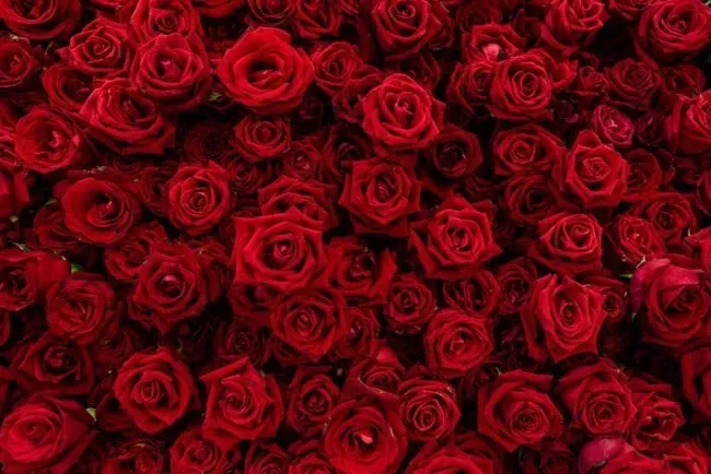 OnlyFans cuenta lovethyfeet20 header 2
