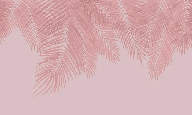 OnlyFans cuenta thechicknextdoorr header 2