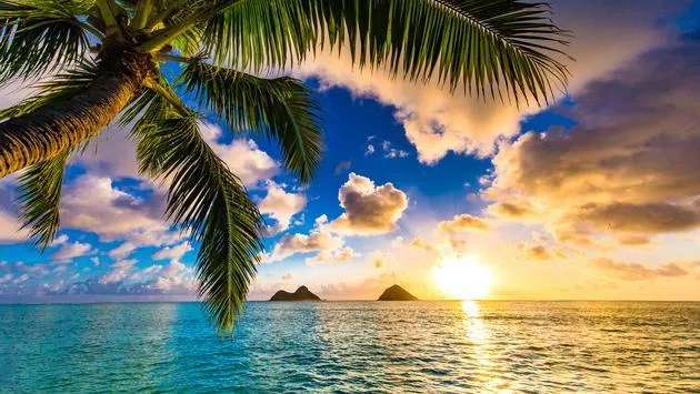 OnlyFans cuenta islandgirl header 2