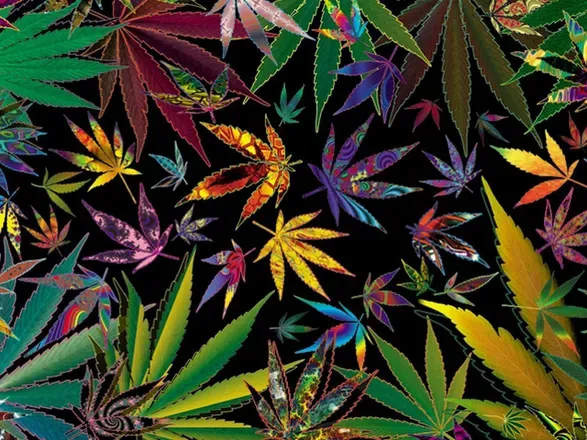 OnlyFans cuenta budboss420 header 2
