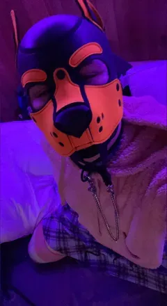OnlyFans cuenta lovesickcanine avatar 1