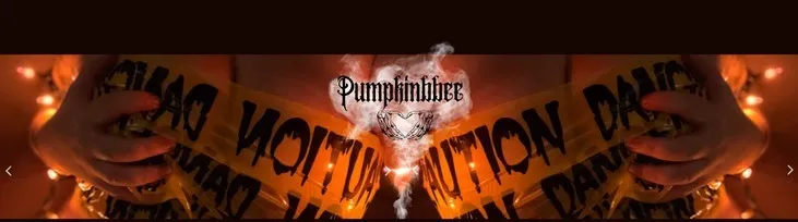 OnlyFans account  pumpkinbbee header 2
