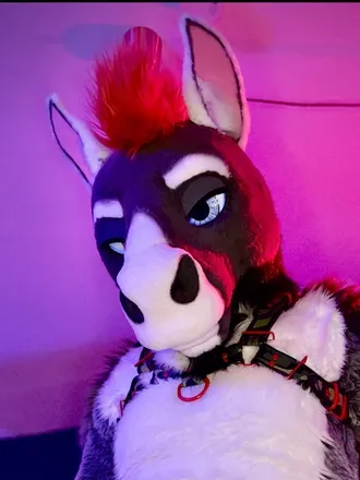 OnlyFans cuenta after_neigh avatar 1