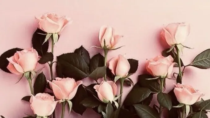 OnlyFans cuenta pinkbitspinky header 2