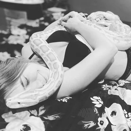 OnlyFans cuenta zearcticfoxy header 2
