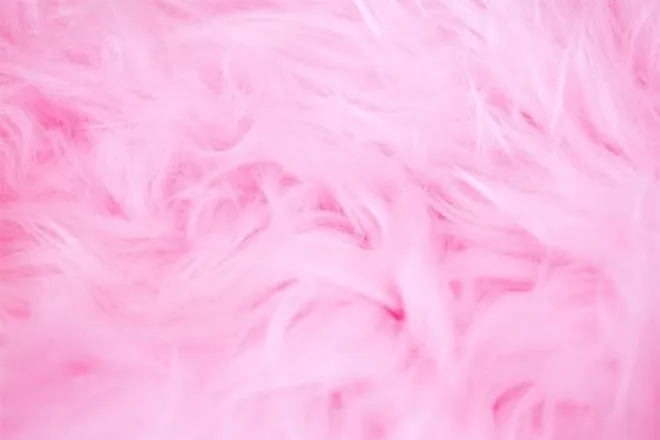 OnlyFans cuenta indymayyii header 1