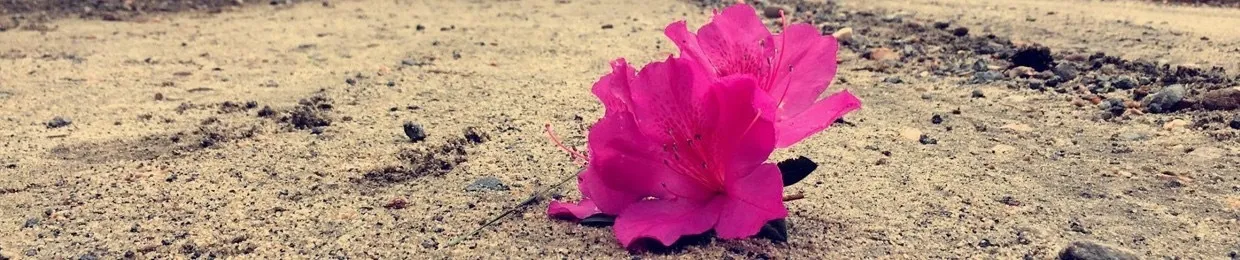 OnlyFans cuenta kyuin header 2