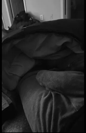 OnlyFans cuenta mr_dingle2166 header 1