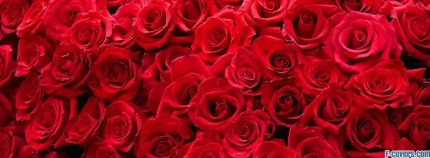 OnlyFans cuenta theoriginalyugen header 2