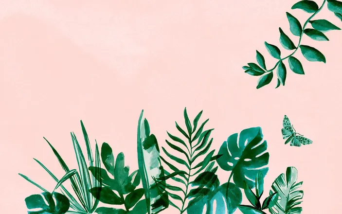 OnlyFans cuenta plantvvitch header 2