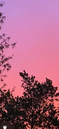 OnlyFans cuenta mooncactus header 2