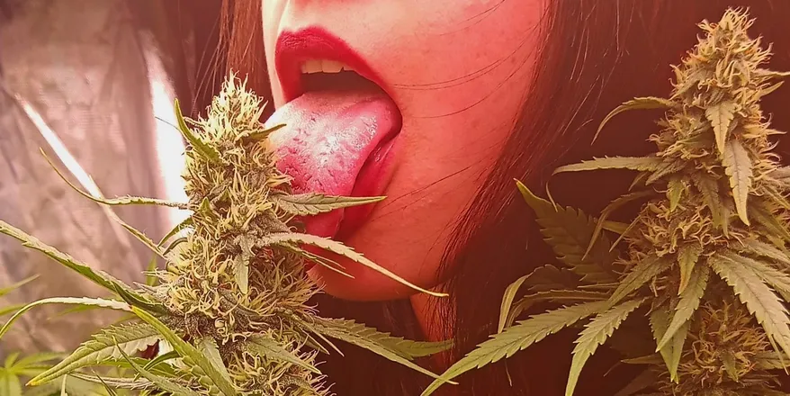 OnlyFans cuenta grower_morena header 2