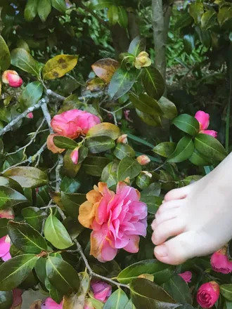 OnlyFans cuenta feetyfufu header 2