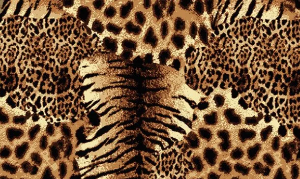 OnlyFans cuenta tazmanianmonkey header 2